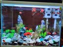森森（SUNSUN） 超白玻璃小鱼缸客厅小型桌面家用水族箱生态免换水金鱼缸 HE480超白缸+假山景ZJ-18(内置棉和滤材) 实拍图