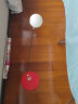 红双喜乒乓球训练器弹力软轴室内家用儿童玩具网红兵兵球自练神器 塑料底盘(无球拍) 实拍图