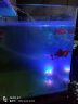 海格瑞假山盆景微型小水泵鱼缸潜水泵过滤泵风水轮迷你抽水泵家用摆件泵 3瓦带4灯 实拍图