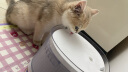 霍曼（Homerun）宠物无线饮水机猫咪喝水器流动水循环感应不插电猫狗通用 实拍图