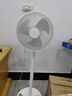 米家小米空气循环扇电风扇落地扇家用直流变频大广角轻音节能台地两用温湿智能感应控风APP100档调节 米家智能直流变频循环扇 落地式 实拍图
