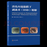 现货 消化内镜黏膜下剥离术（ESD）精解 刘思德 韩泽龙 罗晓蓓 著 中南大学出版社 晒单实拍图