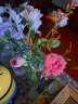 【基地直发】FlowerPlus花加优选水养鲜切花瓶插花桌面装饰清新礼物速递花束（下单后7天内发货） 雏菊5枝+花瓶，颜色随机 预售 实拍图