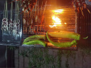 尚烤佳（Suncojia） 烧烤碳 无烟木炭 果木炭 火锅炭 空心木碳 取暖燃烧5斤 含引火块 实拍图