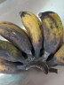 城南堡花 广西小米蕉 香蕉 新鲜水果 小米蕉3斤装 晒单实拍图