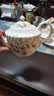 AYNSLEY英国安斯丽兰花Swirl系列下午茶具咖啡杯碟甜品盘高颜值瓷器礼物 茶壶 兰花系列 实拍图