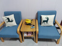 邦尼娅出租房小户型家用客厅阳台单人实木布艺卧室休闲靠背小沙发椅组合 天蓝色原木麻布 单人+单人+小双层茶几(主图组合) 实拍图