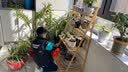 木马人花架子客厅落地式置物架阳台装饰布置多肉花盆植物摆放架家用多层 四层原色70长【加固加粗】（可折叠） 实拍图