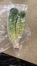 威廉农场罗马生菜心 罗马菜心 菜心 蔬菜  Romaine Lettuce (big) 500g 500g 实拍图