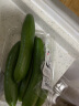 小汤山 北京 荷兰黄瓜 350g 基地直供新鲜蔬菜 实拍图