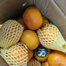 探味君 广西武鸣沃柑 新鲜水果应当季时令橘子桔子整箱 生鲜 净重8.5-9斤 单果75-80mm 实拍图