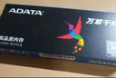 威刚（ADATA） DDR3 1600 4G 8G XPG 万紫千红内存台式机电脑内存条 兼容1333 游戏威龙 马甲 8G 1600 XPG 蓝马甲 实拍图