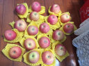 沙窝曙光（shawoshuguang）陕西洛川红富士苹果新鲜当季脆甜冰糖心时令丑苹果水果生鲜 爆卖9.5斤70-80mm（净重8.5斤） 晒单实拍图