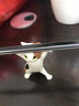 当礼达日本Qualia妖娆猫咪笔架摆件举笔猫办公室桌面装饰生日礼物送女友 三花猫【第一弹】正版扭蛋 实拍图