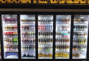 华尔（Huaer）饮料冷藏柜超市水果保鲜柜蛋糕展示柜酒吧商用冰箱立式啤酒柜便利店展示柜冷藏留样柜 【尊享版】小双门(丹佛斯压缩机) 实拍图