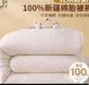 素时代棉花被褥 100%新疆棉花床垫子垫被褥子铺底被褥5斤2x2.3米 白 实拍图