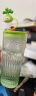 COSTA玻璃杯大容量男女士高颜值带盖吸管杯子 多肉多多(绿)650ml 实拍图