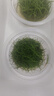 疯狂水草鱼缸造景水草泥和种子底砂装饰生态套餐水草用品 二代水草泥10斤+小对叶种子 实拍图