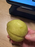 京鲜生新疆库尔勒香梨5斤装 全母梨 单果100-120g 源头直发 包邮 实拍图
