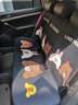 途喜汽车坐垫夏季四季通用单片主驾驶车内座椅垫车载后排座垫夏季座套  趴姿组合【整车7件套】 实拍图