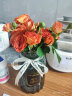 盛世泰堡北欧玻璃花瓶插花瓶干花仿真花小花瓶客厅装饰摆件 实拍图