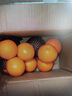 美国进口新奇士3107黑标脐橙Sunkist进口橙子甜橙单果170-210克 15个礼盒装 实拍图