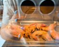 华帝（VATTI）家用台式蒸烤一体机空气炸智能烘焙多功能小型 烤箱家用 晒单实拍图