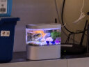 智汇 鱼缸水族箱客厅小型迷你桌面创意造景智能免换水生态玻璃金鱼缸 桌面鱼缸 高配（循环底滤+无极调光+喂食+一键换水） 实拍图