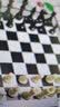 成功国际象棋磁性象棋高档棋儿童便捷式国际象棋棋类游戏益智桌游6415 实拍图