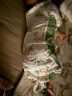 威尔贝鲁（WELLBER）婴儿睡袋儿童前4后2竹棉纱布分腿睡衣宝宝防踢被春夏熊猫贴贴L 晒单实拍图