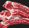百里炙 国产原切五肋牛肋排1kg 牛肋骨牛肋条牛排骨 烧烤烤肉 生鲜牛肉 实拍图