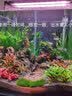 Atman鱼缸过滤桶 水族箱水草缸外置过滤器净水循环过滤设备CF过滤桶 CF-600 过滤桶【 适用40-60cm鱼缸 】 官方标配 实拍图