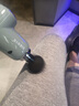凯伦诗（CLORIS）筋膜枪专业级按摩仪器放松肌肉高频运动颈膜枪高端家用肌膜枪 金属灰绿CLORIS-G858 实拍图