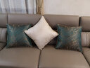 Avigers 沙发抱枕靠垫床头上大靠枕套汽车护腰靠背垫办公室座椅子腰枕 金海岸 珍珠米 50cm*50cm 含枕芯 实拍图