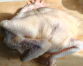 温氏 供港农养大公鸡1.2kg 冷冻高品质林地大公鸡走地鸡 鸡肉 实拍图