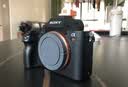 索尼/Sony A7 A7R2 A7R4 A7M2  A7M4 A7C全画幅二手微单 4K直播相机 索尼A7R2【A7RII单机身】 【95新】 实拍图