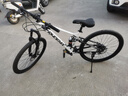 凤凰（Phoenix）上海凤凰软尾山地车自行车学生公路男变速双减震越野青少年赛车 钢架/辐条石灰白【双减震/全轴承】 26寸30速【适合身高158-188cm】 实拍图
