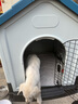 hoopet狗房子室外狗窝中型犬夏季狗屋可拆洗狗窝小大型犬户外防雨狗舍 室外防雨狗屋-带天窗【90斤内】 标准版：带铁门 【日常版】仅狗窝 实拍图