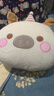 达克鸭加厚暖手抱枕冬天插手宿舍办公室毛绒手捂午睡枕头学生女生靠背垫 米拉小猪 【升级加厚】32x28厘米 实拍图
