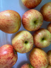 京鲜生新西兰皇家姬娜娜苹果2.6kg装一级 单果130g-170g 生鲜新鲜水果 实拍图