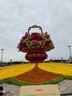 呵宝（HOPE）婴儿推车轻便折叠婴儿车可坐可躺儿童车伞车小宝宝童车手推车bb车遛娃车 鲨鱼蓝plus款【可坐可躺】+棉垫 实拍图