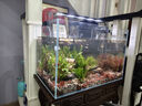 疯狂水草鱼缸造景装饰溪流石底部砂石天然溪流缸南美缸造景石乌龟躲避晒台 溪流缸造景套餐（60-70cm缸） 实拍图