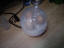 领锐（lingrui）蒸蛋器迷你宿舍煮蛋器自动断电煮鸡蛋器小型多功能全自动低功率3个蛋小容量早餐神器 粉色 实拍图
