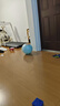 费雪（Fisher-Price）儿童玩具球宝宝小皮球拍拍球38cm(蓝色含打气筒)生日礼物礼品 实拍图
