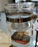 金灶（KAMJOVE）玻璃茶壶 按压式飘逸杯 茶水壶玻璃茶具 茶水分离杯泡茶器泡茶壶 TP-140/300ml容量 实拍图