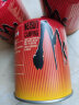 脉鲜（MAXSUN）高山气罐扁气罐登山气罐燃气罐 安全防爆户外气瓶 红罐450g 3罐装 实拍图