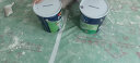 多乐士（dulux）A991 家丽安净味内墙乳胶油漆涂料墙漆墙面漆18L【本商品为调色漆 厂家自送】定制品 实拍图