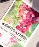 水彩画自学入门教程（零基础学水彩，发现生活之美） 实拍图