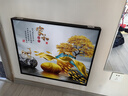 柳莺花燕免打孔电表箱装饰画现代简约客厅餐厅挂画电闸箱配电箱遮挡壁画 家和富贵 60X50遮挡50X40表箱 上掀款 实拍图