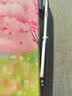汉王（Hanvon）N10mini 电纸书阅读器保护套樱花款 实拍图